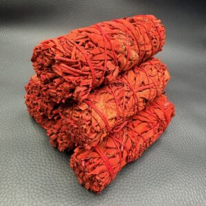 Sauge Blanche Sang de Dragon