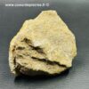 Palet de Poisson fossile "Eodiaphyodus Granulosus" (réf vt14) – Image 4