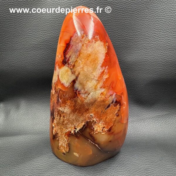 Cornaline "forme libre" de Madagascar (réf bc15) – Image 4