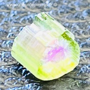 Tourmaline melon d’eau d’Afghanistan “tranche de prisme” (réf ptm9)