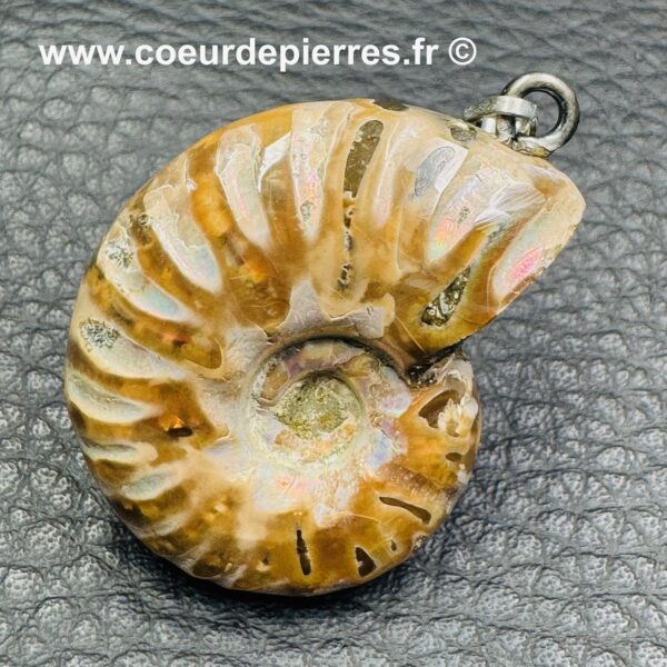 Pendentif ammonite de Madagascar (réf pam11) – Image 2