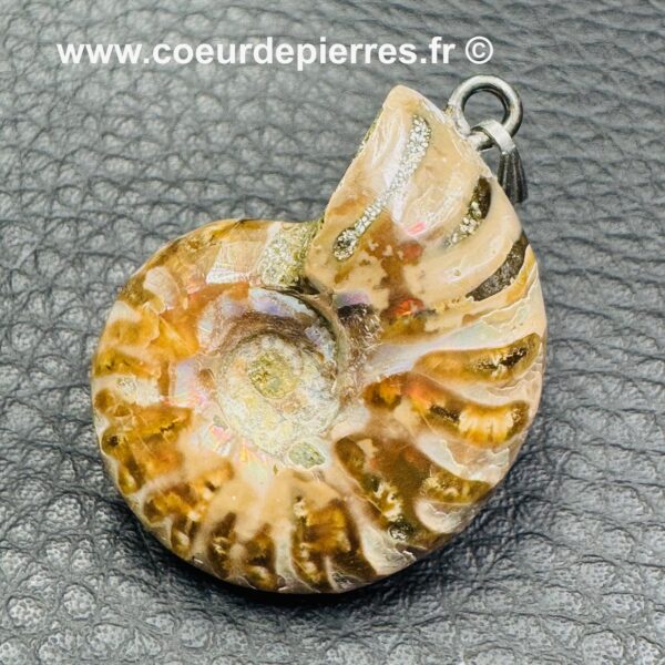 Pendentif ammonite de Madagascar (réf pam11) – Image 3