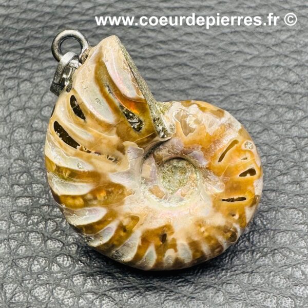 Pendentif Ammonite