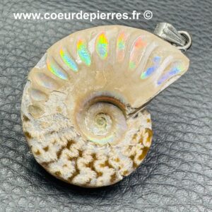 Pendentif Ammonite
