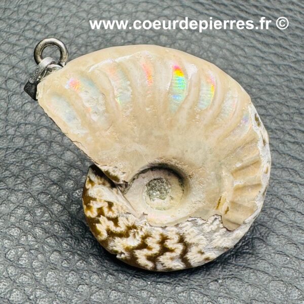 Pendentif ammonite de Madagascar (réf pam4) – Image 2