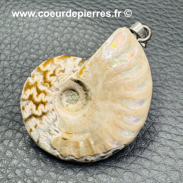 Pendentif ammonite de Madagascar (réf pam4) – Image 3
