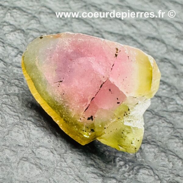 Tourmaline Melon d’Eau “tranche de prisme” (réf ptm7) – Image 3