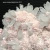 Rhodochrosite sur Quartz de Cavnic Mine Roumanie (ref rg22) – Image 3