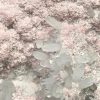 Rhodochrosite sur Quartz de Cavnic Mine Roumanie (ref rg22) – Image 4