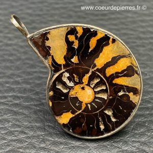 Pendentif ammonite du Maroc (réf pam11)