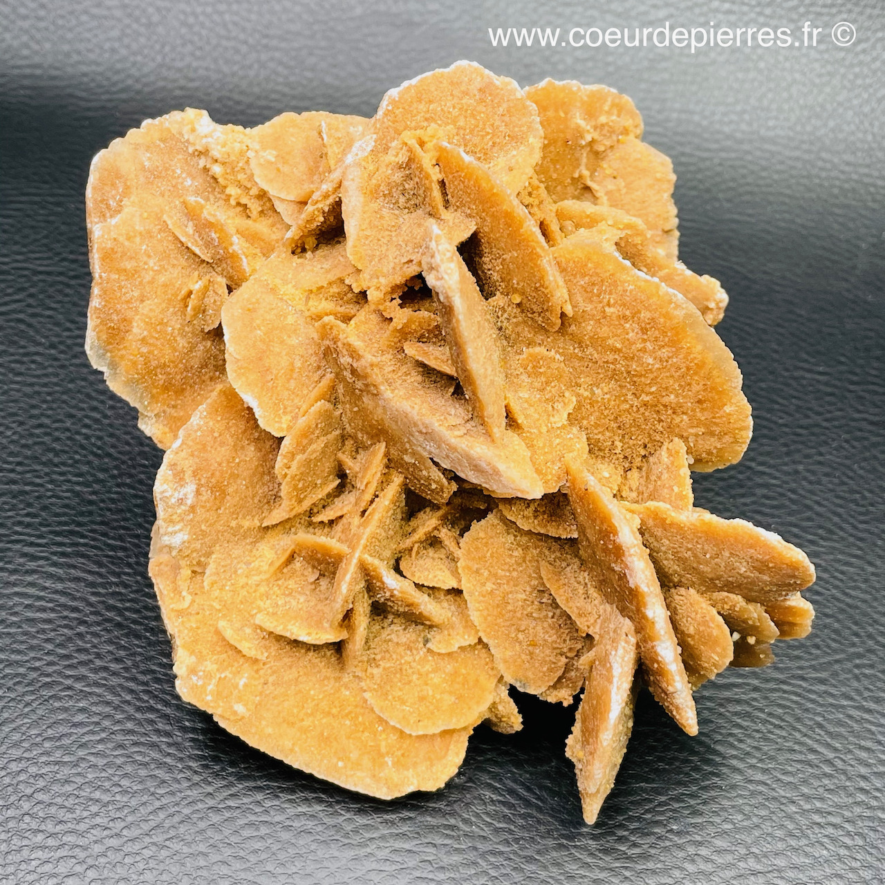 Rose des sables “gypse” d’Algérie 0,446kg (réf rs2) Cœur de Pierres — free download