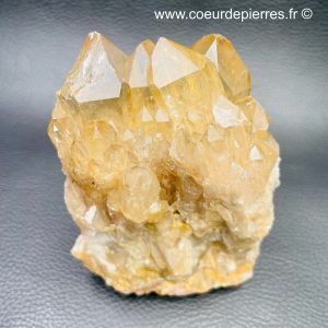 Druse de citrine naturelle d’Afrique « rare » (réf dc10)