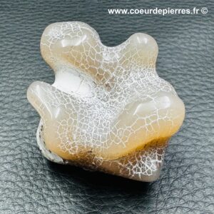 Agate peau de serpent