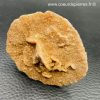 Rose des Sables “gypse” d’Algérie (réf rs2) – Image 3