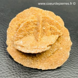 Rose des sables “gypse” d’Algérie (réf rs2)
