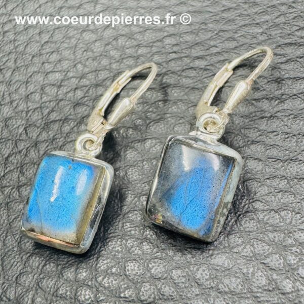 Boucles d'Oreilles avec Labradorite