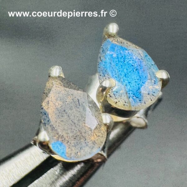 Boucles d'Oreilles labradorite