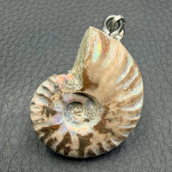 Pendentif ammonite de Madagascar (réf pam4) – Image 2