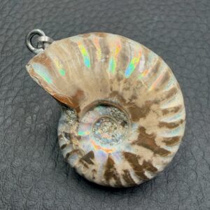 Pendentif Ammonite