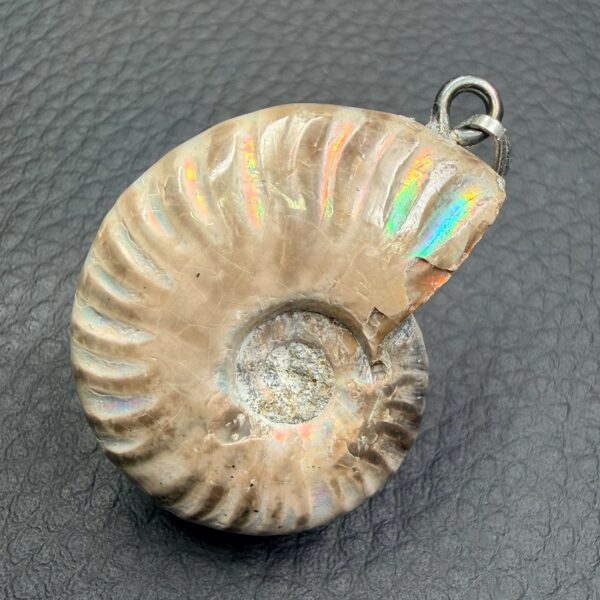Pendentif ammonite de Madagascar (réf pam4) – Image 4