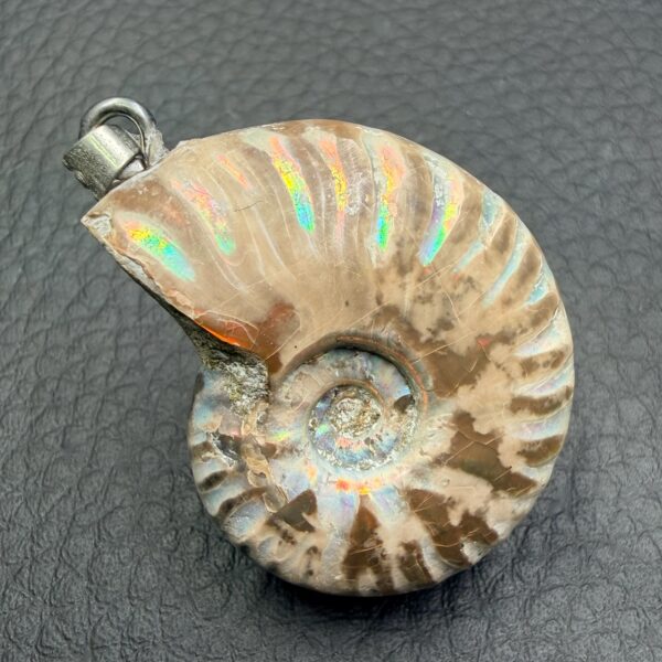 Pendentif ammonite de Madagascar (réf pam4) – Image 3