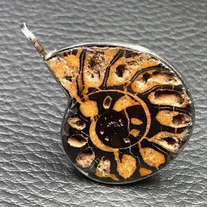Pendentif ammonite du Maroc (réf pam1)