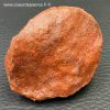 Scutelle Dermique de Dinosaure “Rebbachisaurus” (réf pld7) – Image 2