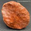 Scutelle Dermique de Dinosaure Rebbachisaurus
