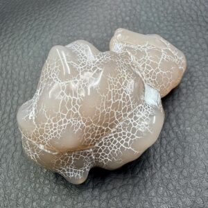 Agate Peau de Serpent