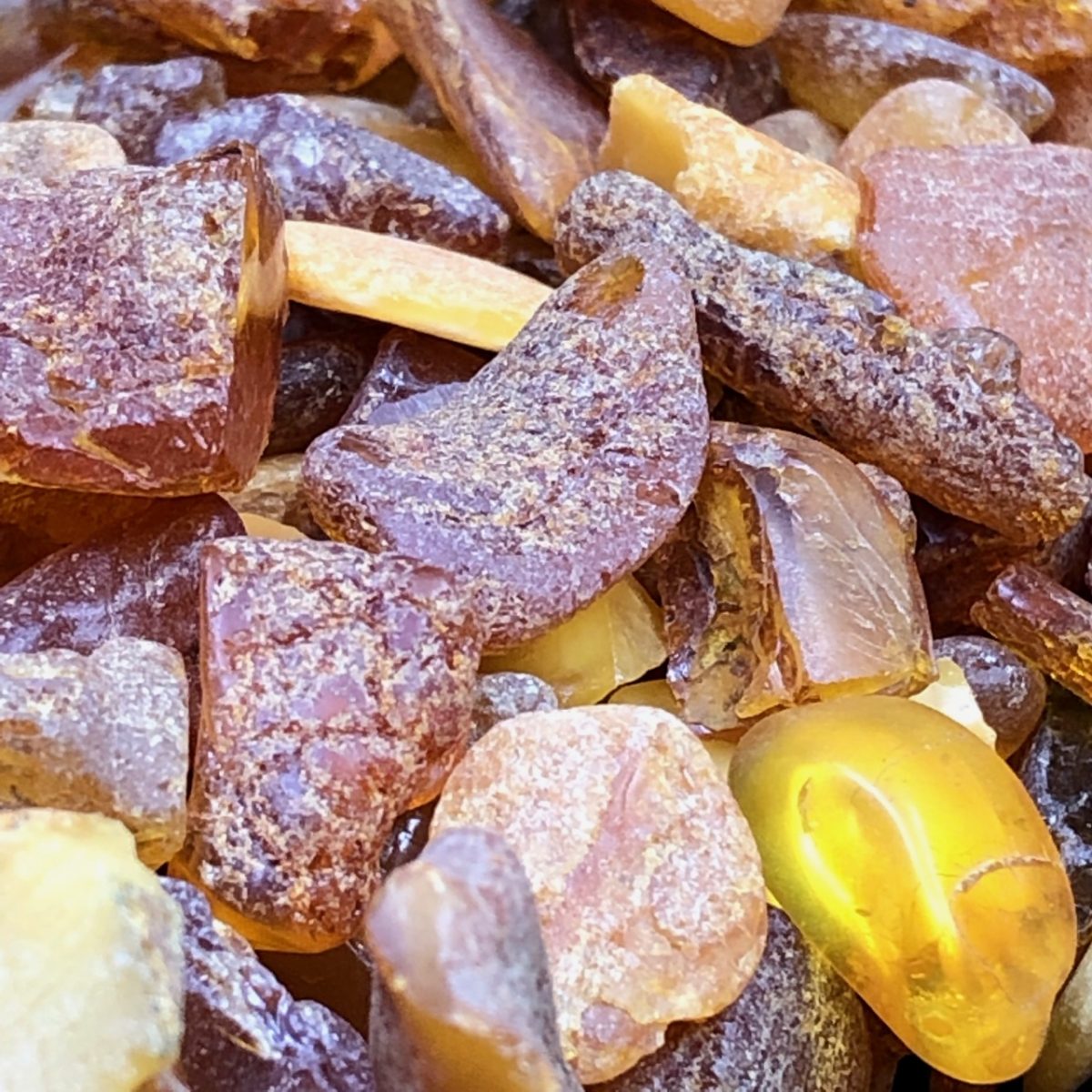 Ambre de la mer Baltique 