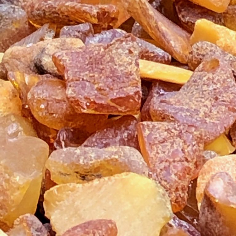 Ambre de la mer Baltique 