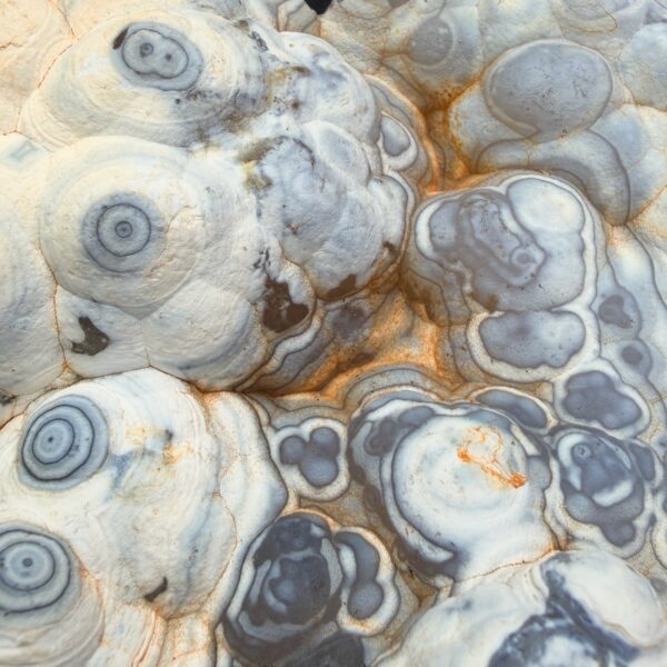 Agate "Botryoïdale" de Madagascar (réf afl12) – Image 5