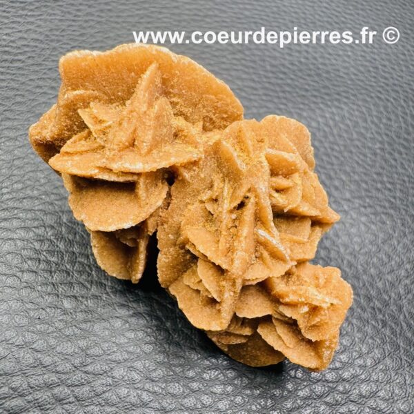 Rose des Sables