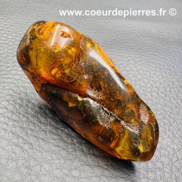 Ambre de la mer Baltique (réf ab5) – Image 2