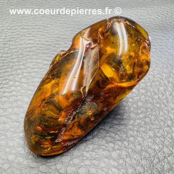 Ambre de la mer Baltique (réf ab5) – Image 5