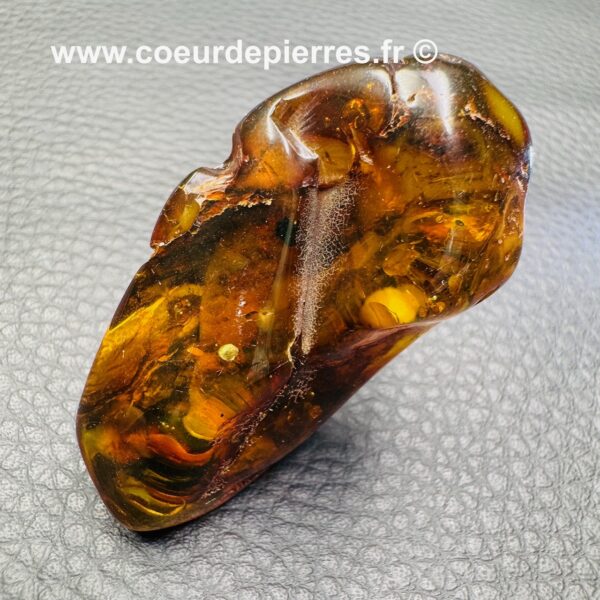 Ambre de la mer Baltique (réf ab5) – Image 4
