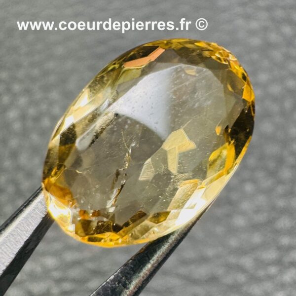 Citrine Gemme