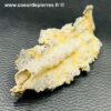 fulgurite