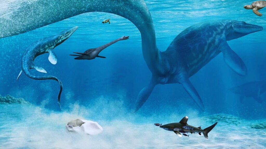 Mer de Phosphate Préhistorique