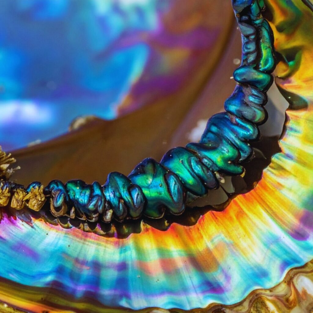 Nacre d'Abalone
