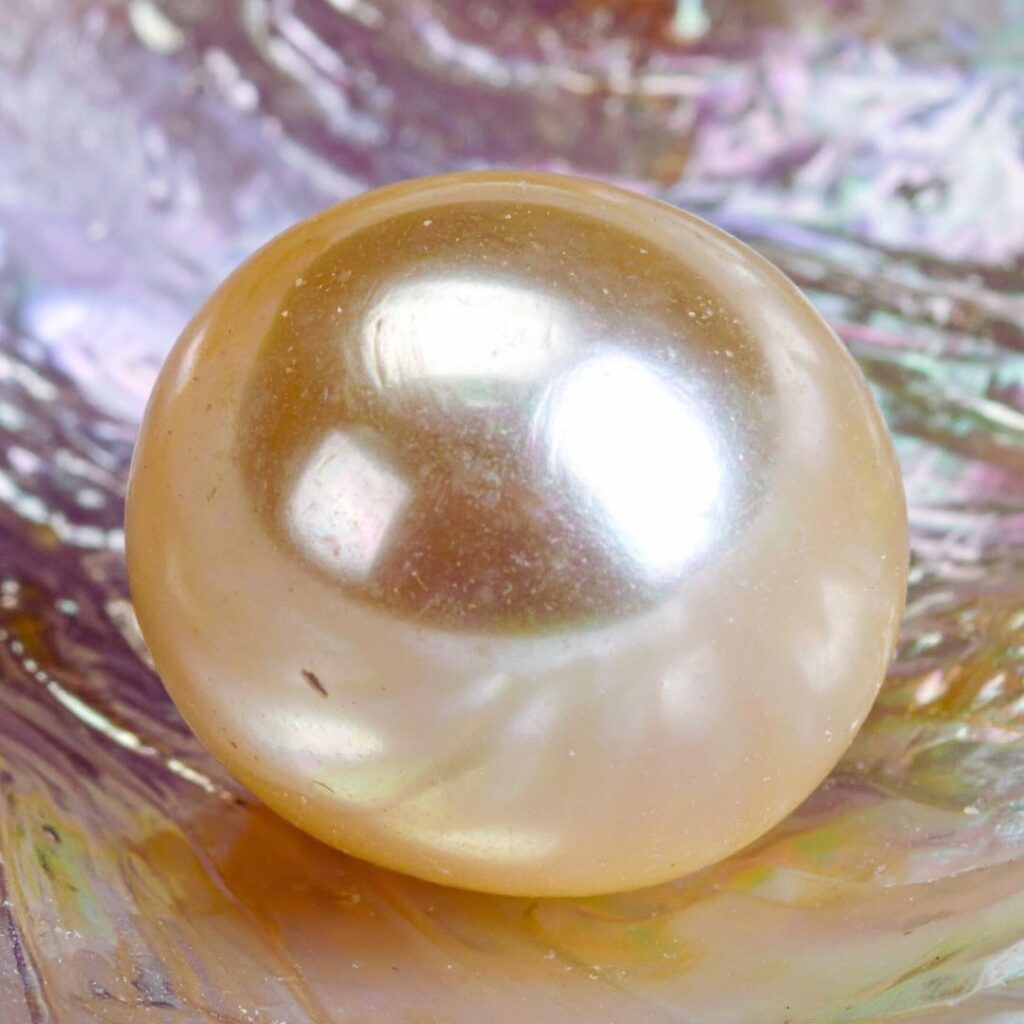 Nacre d'Huitre Perlière