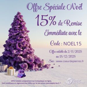 Offre Spéciale Noël