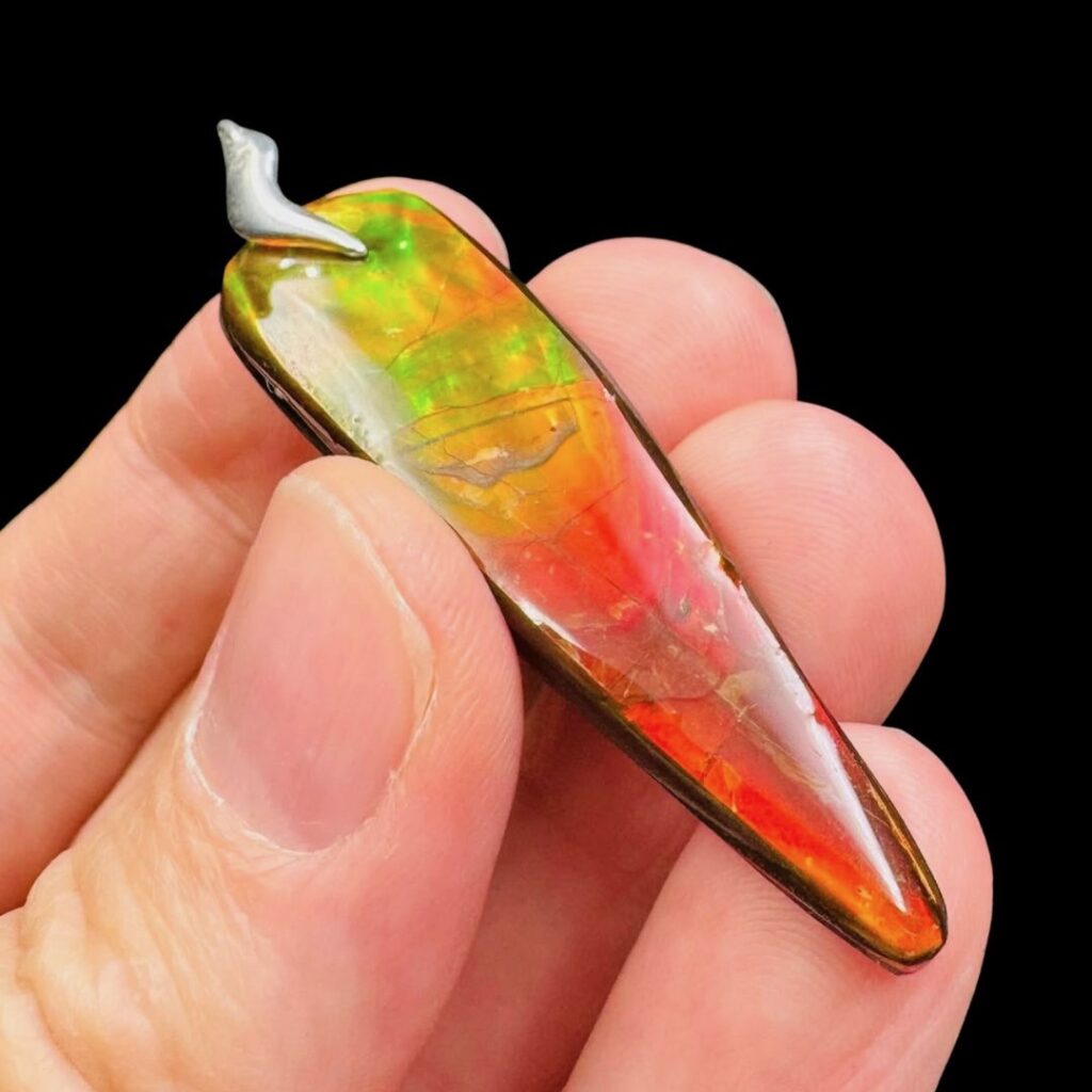 Pendentif ammolite