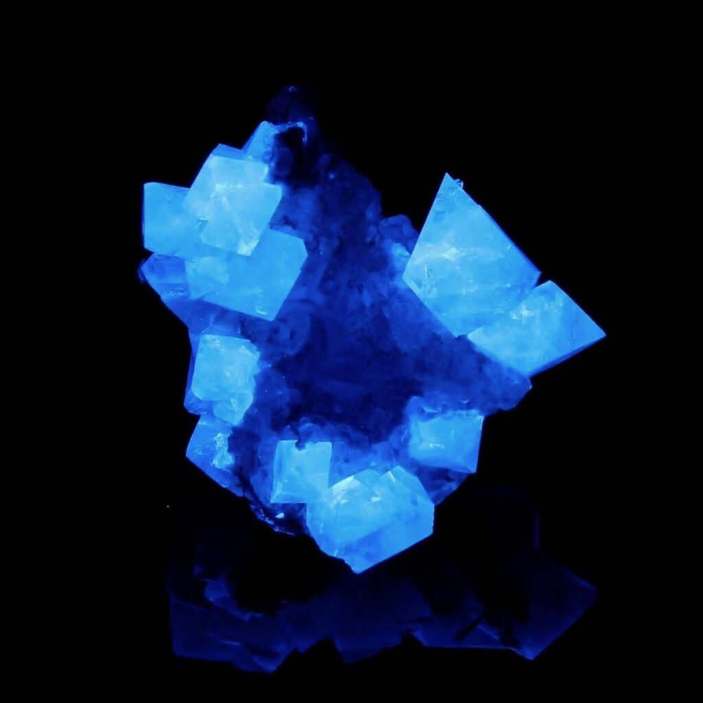 Scheelite Fluorescente