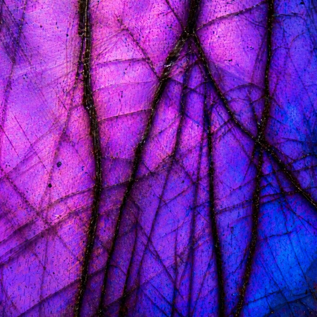 Labradorite Violette
