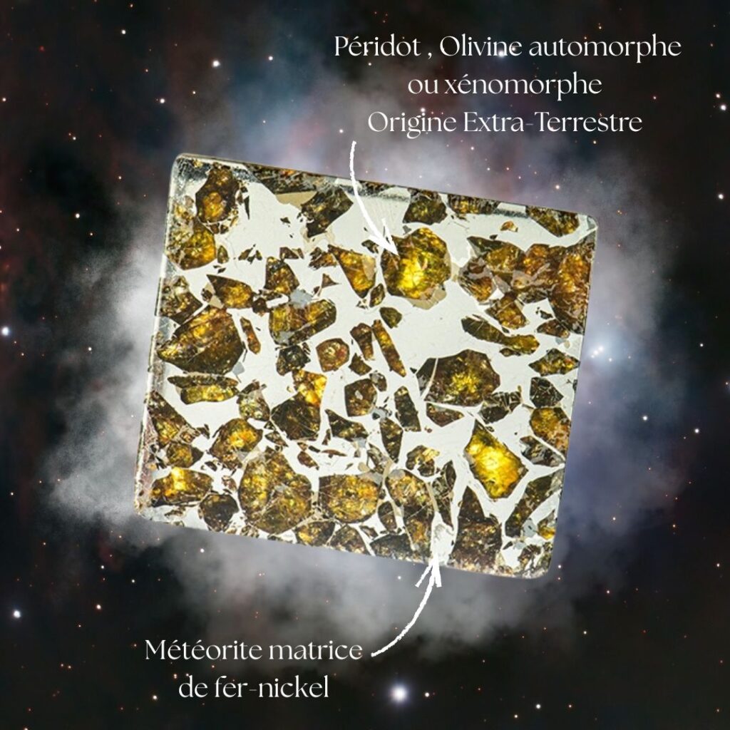 Péridot Olivine Pallasite Météorite