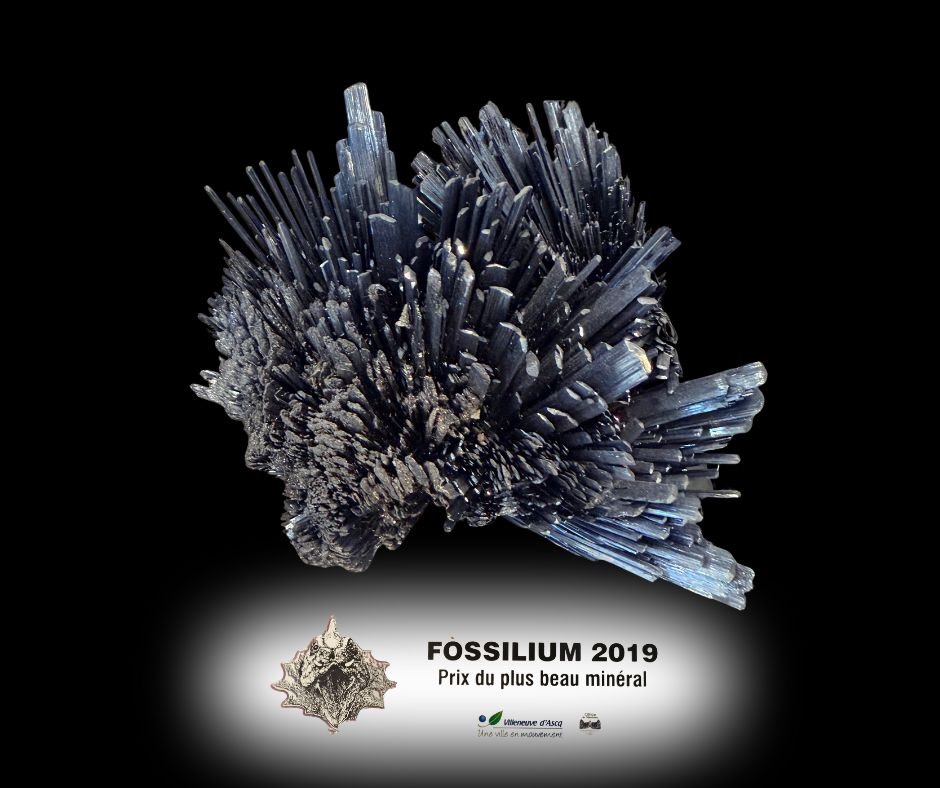 Prix Minéral 2019 Stibine