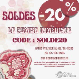 Soldes de Janvier 2026
